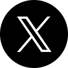 公式X